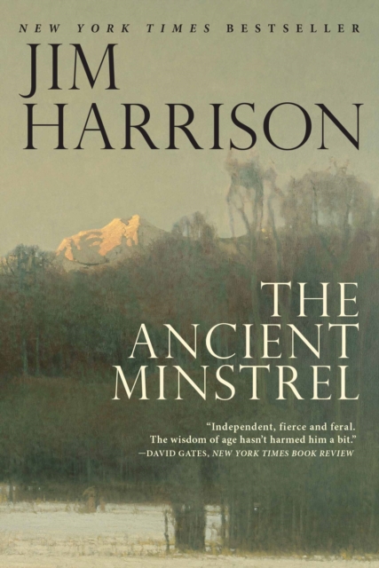 The Ancient Minstrel : Novellas, Paperback / softback Book