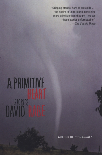 A Primitive Heart : Stories, Paperback / softback Book