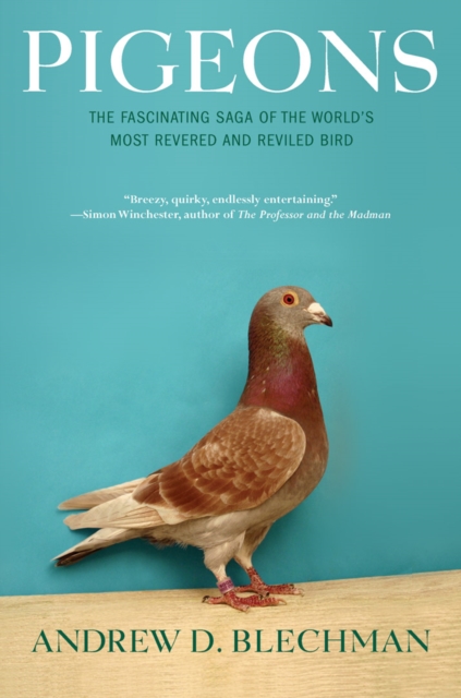 Pigeons : The Fascinating Saga of the World's Most Revered and Reviled Bird, Paperback / softback Book