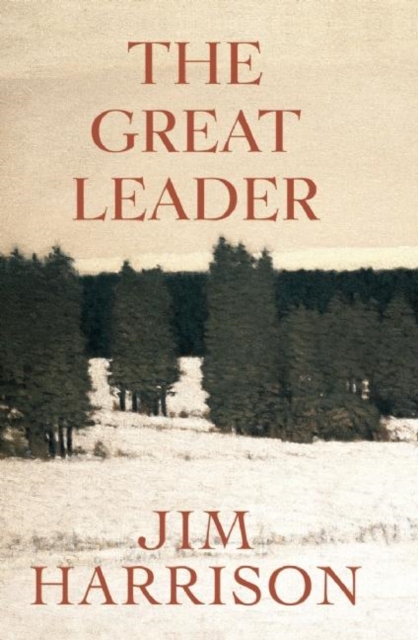The Great Leader : A Faux Mystery, Paperback / softback Book