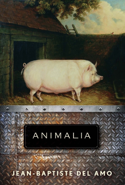 Animalia, EPUB eBook