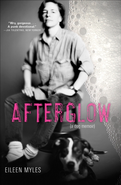 Afterglow : (a dog memoir), EPUB eBook