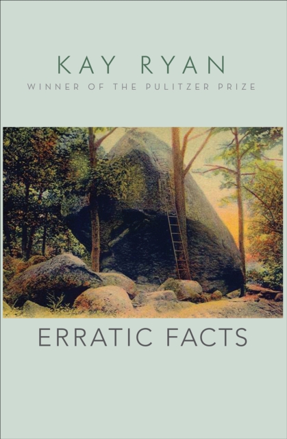 Erratic Facts, EPUB eBook