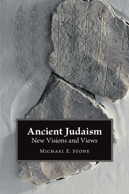 Ancient Judaism : New Visions and Views, Paperback / softback Book