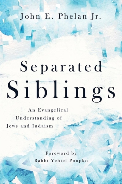 SEPARATED SIBLINGS, Paperback Book