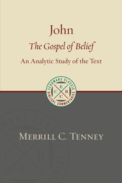 John : The Gospel of Belief: An Analytic Study of the Text, Paperback / softback Book