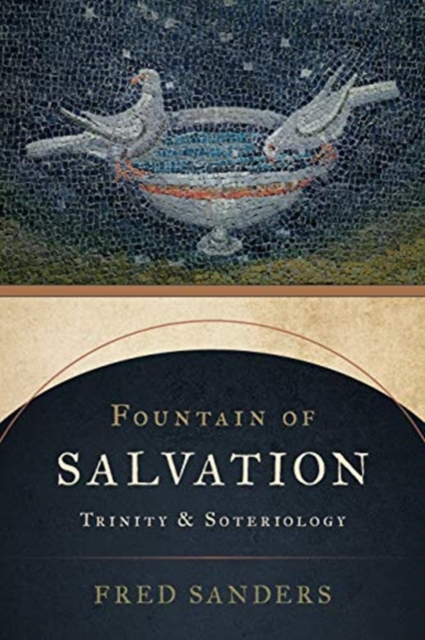Fountain of Salvation : Trinity and Soteriology, Paperback / softback Book