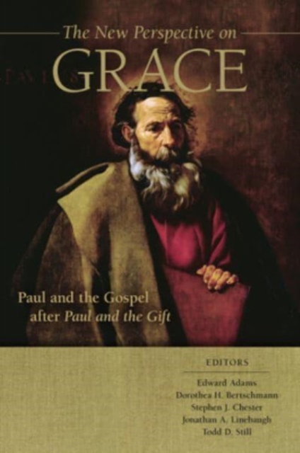 The New Perspective on Grace : Paul and the Gospel After Paul and the Gift, Hardback Book