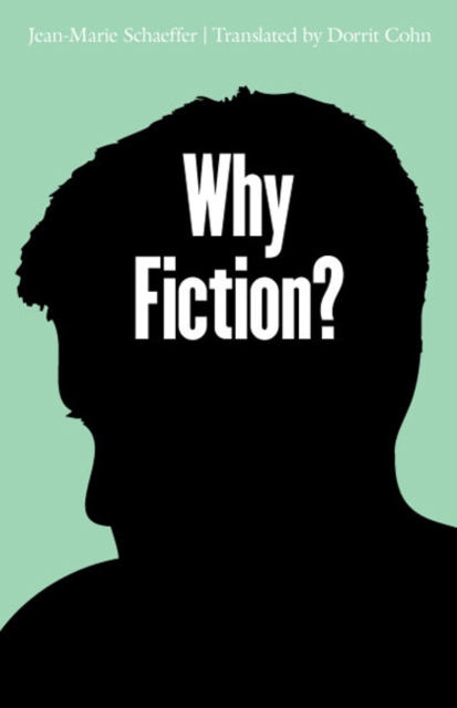 Why Fiction?, Hardback Book