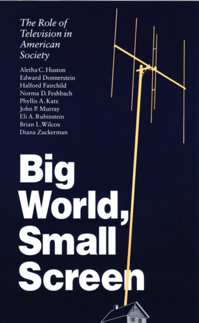 Big World, Small Screen : The Role of Television in American Society, Paperback / softback Book