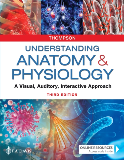 Understanding Anatomy & Physiology : A Visual, Auditory, Interactive Approach, Paperback / softback Book