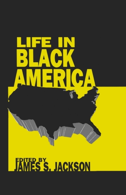 Life in Black America, Paperback / softback Book