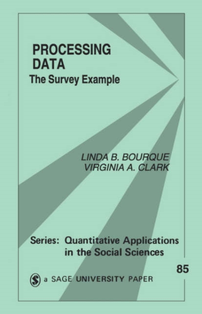 Processing Data : The Survey Example, Paperback / softback Book
