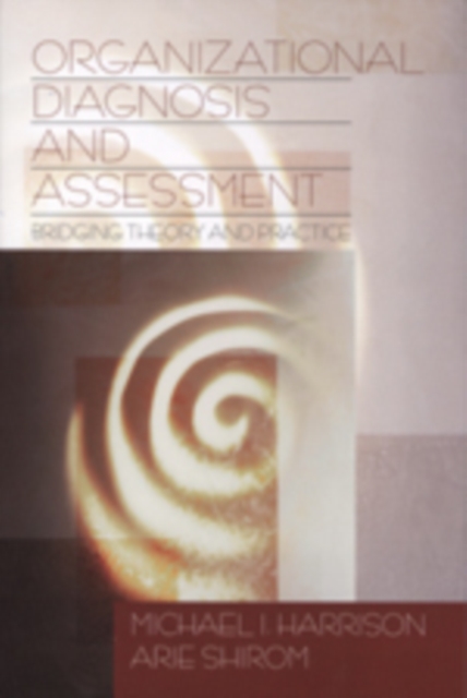 Organizational Diagnosis and Assessment : Bridging Theory and Practice, Paperback / softback Book
