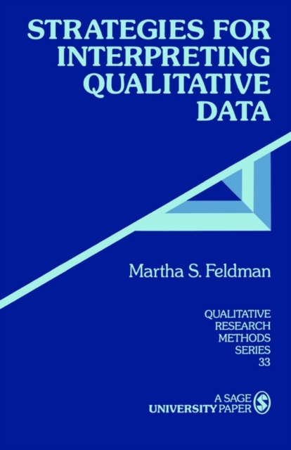 Strategies for Interpreting Qualitative Data, Paperback / softback Book