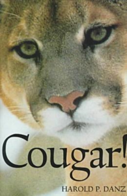 Cougar, Paperback / softback Book
