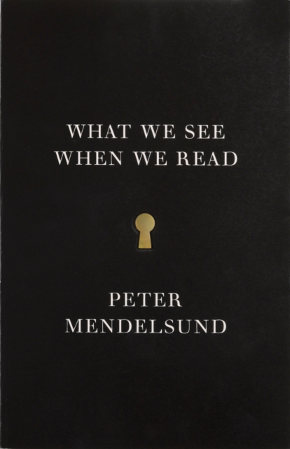 What We See When We Read, Paperback / softback Book