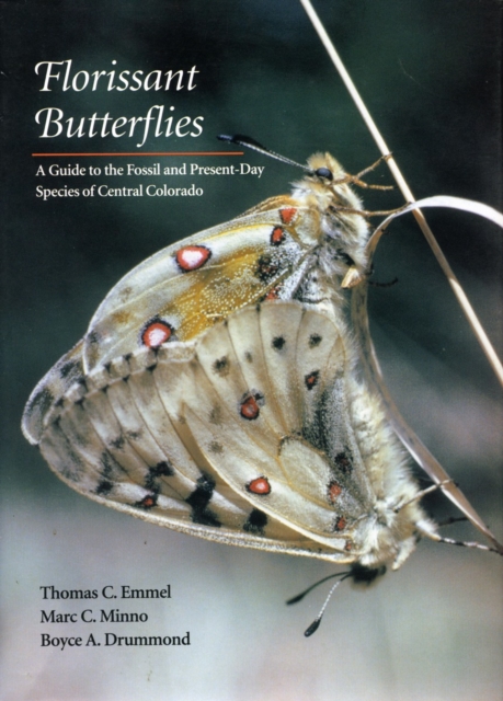 Florissant Butterflies : A Guide to the Fossil and Present-Day Species of Central Colorado, Hardback Book