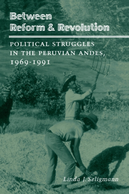 Between Reform and Revolution : Political Struggles in the Peruvian Andes, 1969-1991, Hardback Book