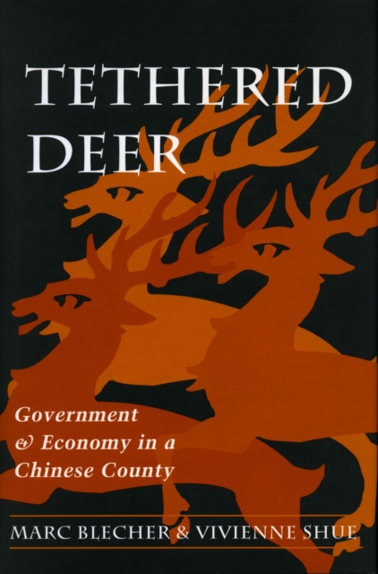 Tethered Deer : Government and Economy in a Chinese County, Hardback Book