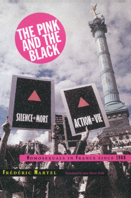 The Pink and the Black : Homosexuals in France Since 1968, Hardback Book