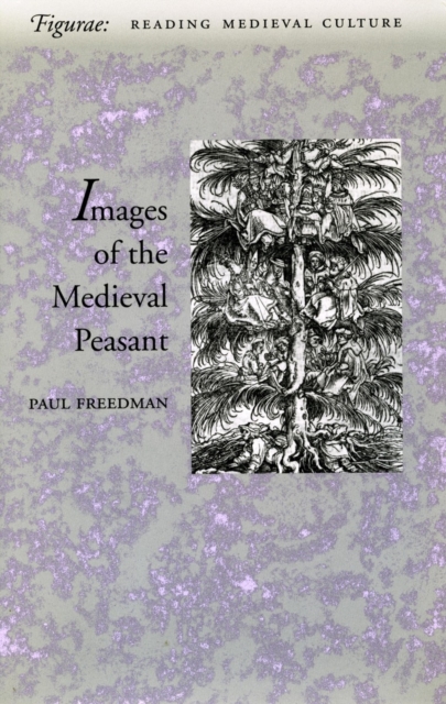 Images of the Medieval Peasant, Hardback Book