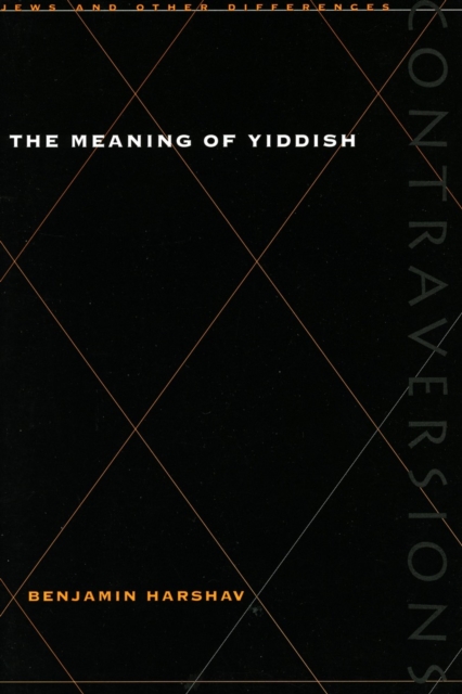 The Meaning of Yiddish, Paperback / softback Book