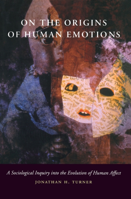 On the Origins of Human Emotions : A Sociological Inquiry into the Evolution of Human Affect, Hardback Book