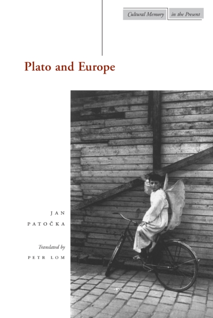 Plato and Europe, Paperback / softback Book