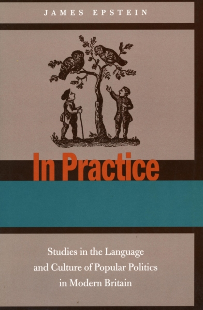 In Practice : Studies in the Language and Culture of Popular Politics in Modern Britain, Hardback Book