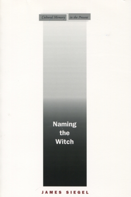 Naming the Witch, Hardback Book
