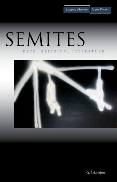 Semites : Race, Religion, Literature, Paperback / softback Book