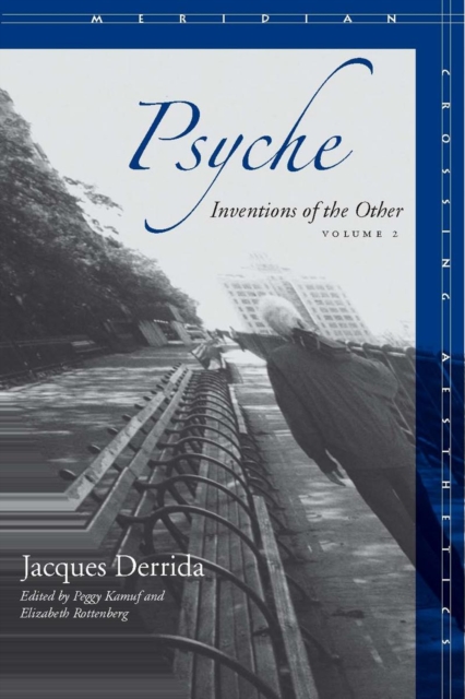 Psyche : Inventions of the Other, Volume II, Hardback Book