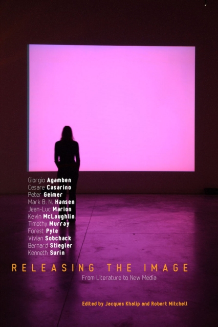 Releasing the Image : From Literature to New Media, Paperback / softback Book