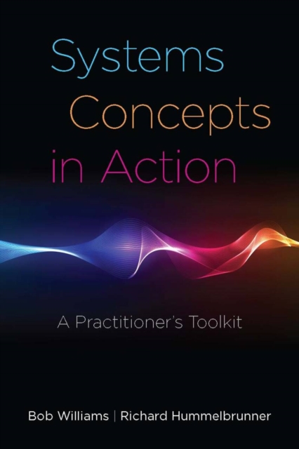 Systems Concepts in Action : A Practitioner's Toolkit, Paperback / softback Book