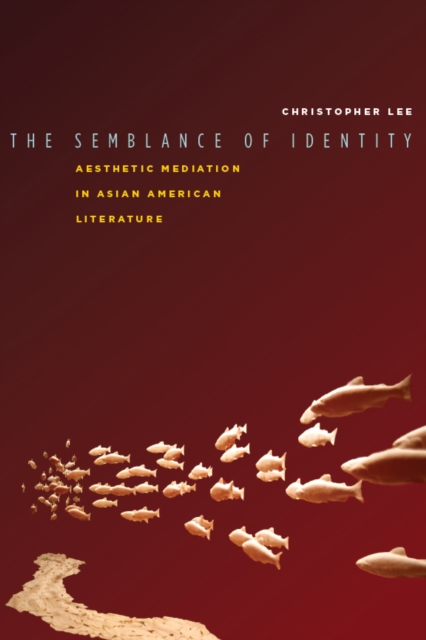 The Semblance of Identity : Aesthetic Mediation in Asian American Literature, Hardback Book