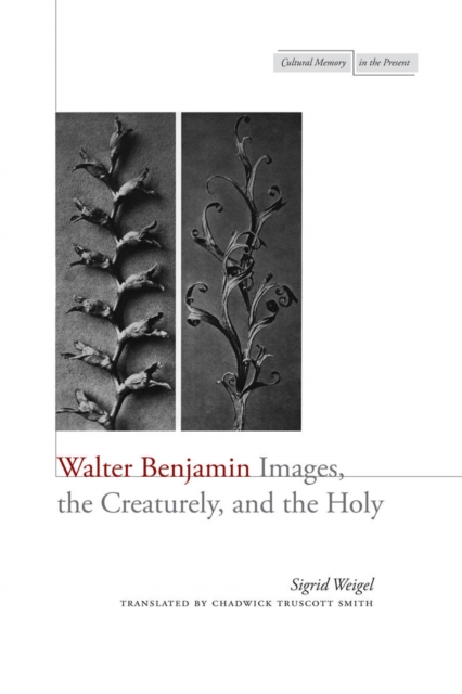 Walter Benjamin : Images, the Creaturely, and the Holy, Paperback / softback Book
