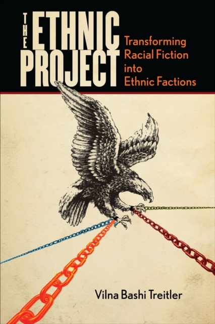 The Ethnic Project : Transforming Racial Fiction into Ethnic Factions, EPUB eBook