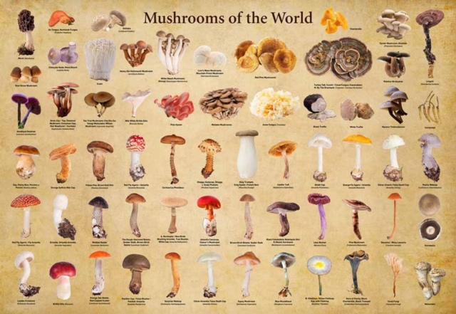 Mushrooms of the World - 1000 Piece Jigsaw Puzzle : for Adults and Families - Finished Puzzle Size 29 x 20 inch (74 x 51 cm); A3 Sized Poster, Game Book