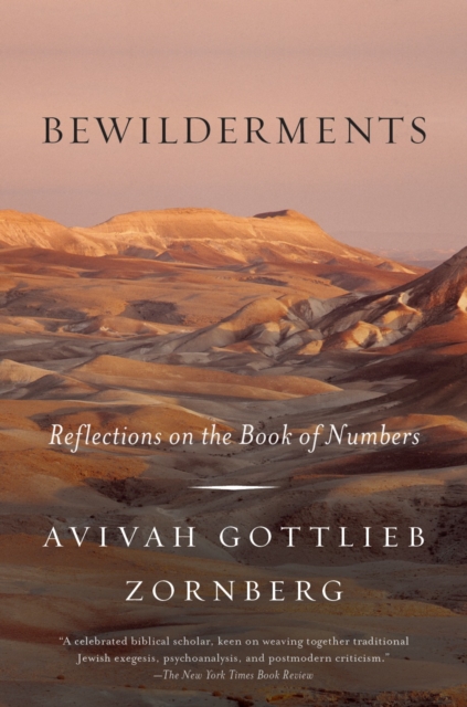 Bewilderments, EPUB eBook