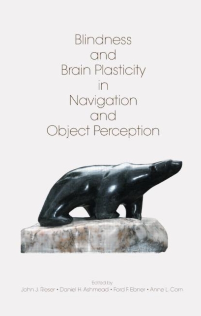 Blindness and Brain Plasticity in Navigation and Object Perception, Hardback Book