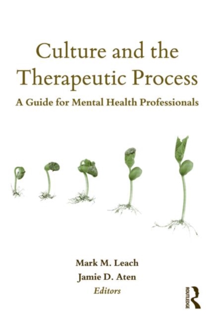 Culture and the Therapeutic Process : A Guide for Mental Health Professionals, Paperback / softback Book