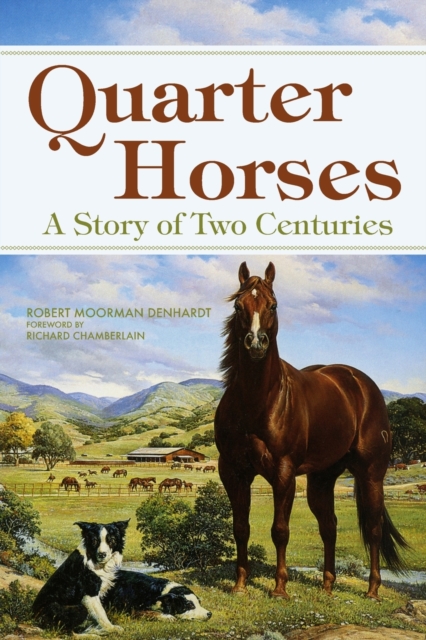 Quarter Horses : A Story of Two Centuries, Paperback / softback Book