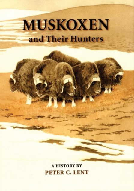Muskoxen and Their Hunters : A History, Hardback Book