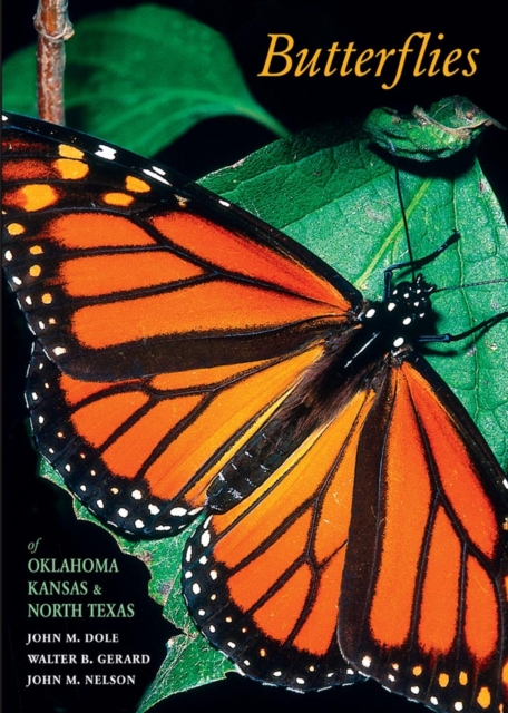 Butterflies of Oklahoma, Kansas, and North Texas, Paperback / softback Book