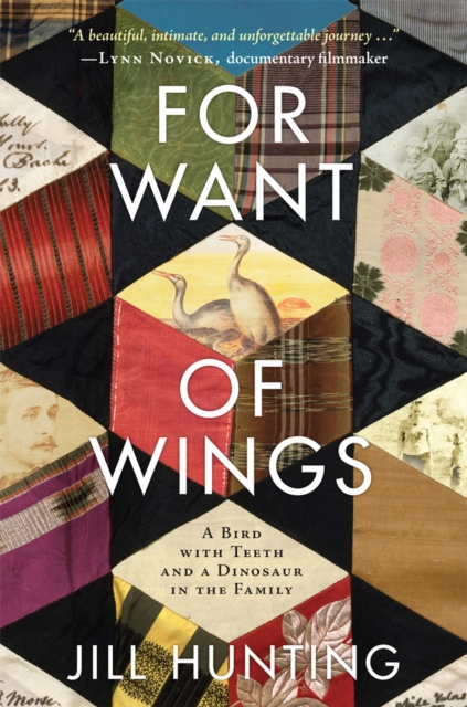 For Want of Wings : A Bird with Teeth and a Dinosaur in the Family, Paperback / softback Book