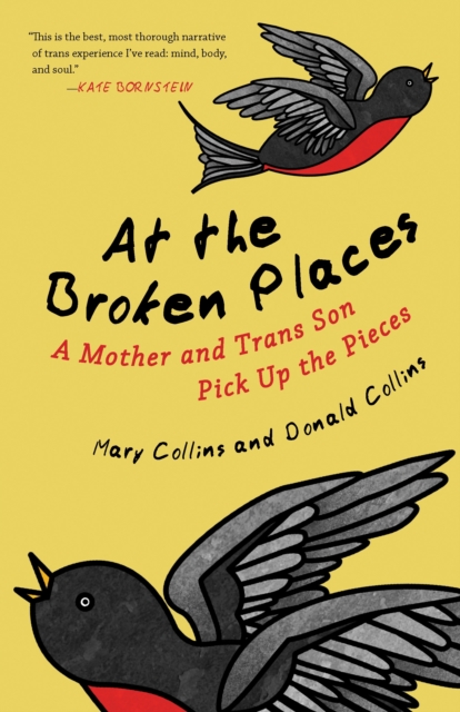 At the Broken Places : A Mother and Trans Son Pick Up the Pieces, Paperback / softback Book
