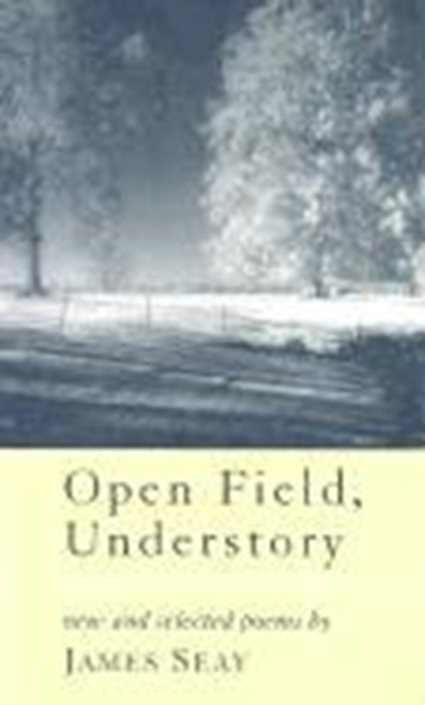 Open Field, Understory : New and Selected Poems, Paperback / softback Book