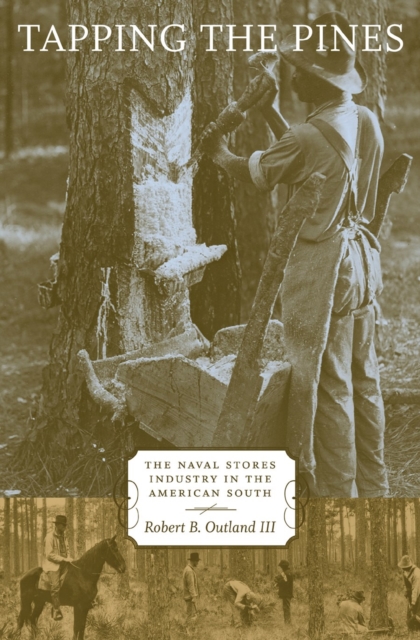 Tapping the Pines : The Naval Stores Industry in the American South, Hardback Book