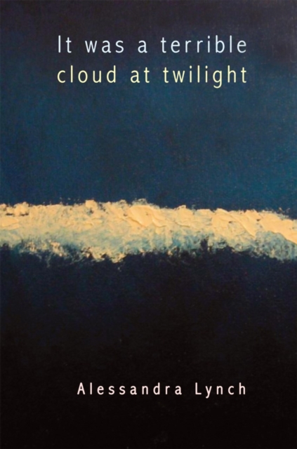 It was a terrible cloud at twilight : Poems, Paperback / softback Book